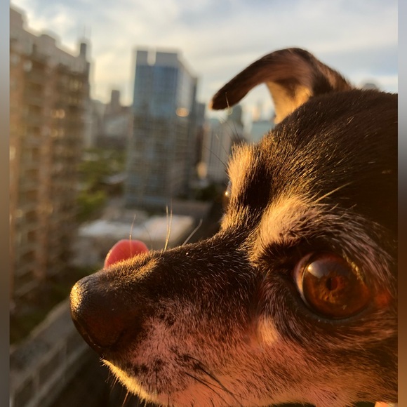 Meet your Posher, Regina! - Picture 6 of 16